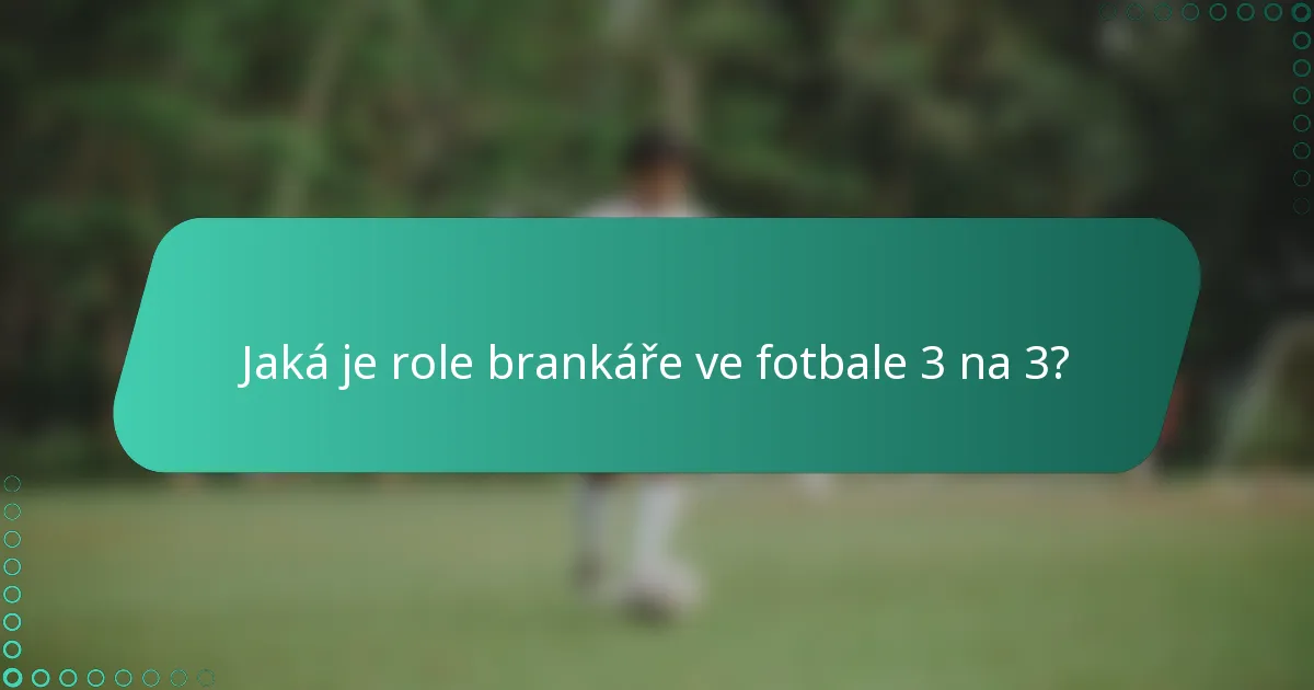 Jaká je role brankáře ve fotbale 3 na 3?