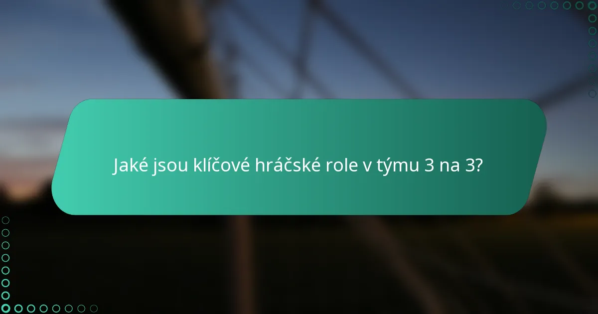Jaké jsou klíčové hráčské role v týmu 3 na 3?