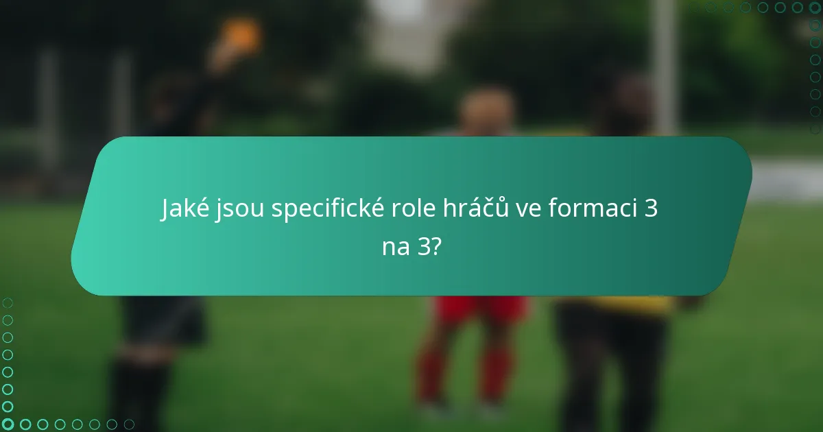 Jaké jsou specifické role hráčů ve formaci 3 na 3?