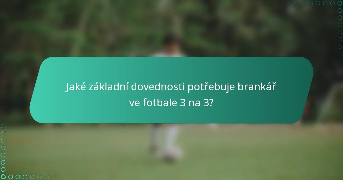 Jaké základní dovednosti potřebuje brankář ve fotbale 3 na 3?